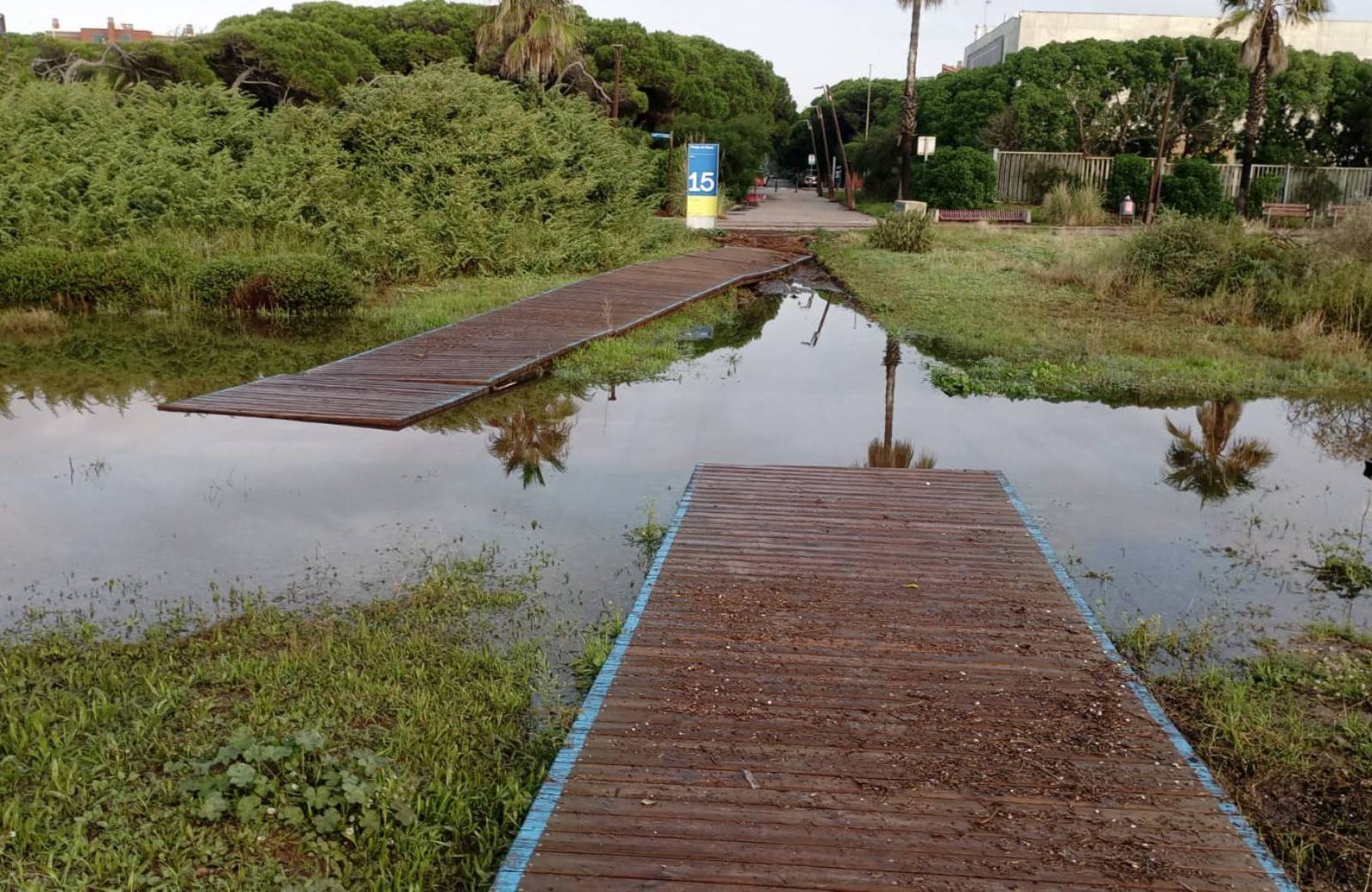 Efectes del temporal de pluja